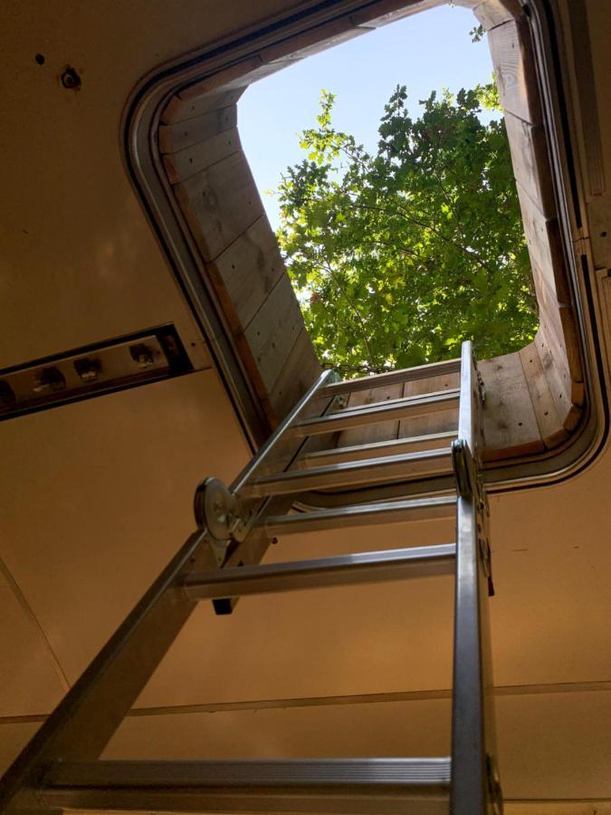 Magic Roof Top Bus With Big Bath In The Tree Forest! Mimizan Exterior photo