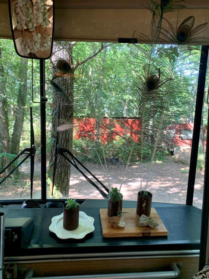 Magic Roof Top Bus With Big Bath In The Tree Forest! Mimizan Exterior photo